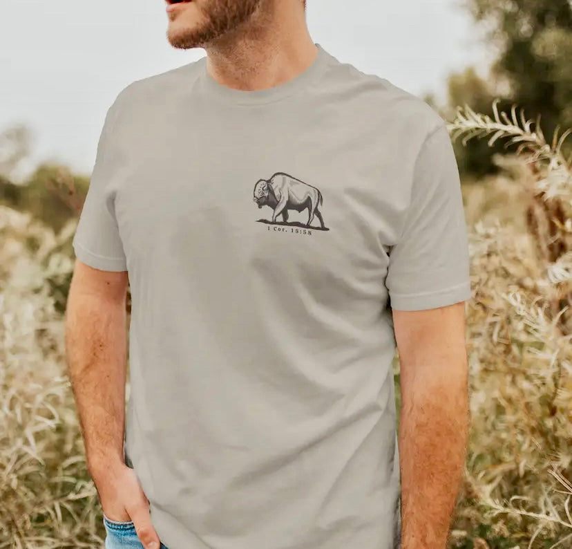 Be Strong and Steadfast Buffalo Christian Graphic Tee