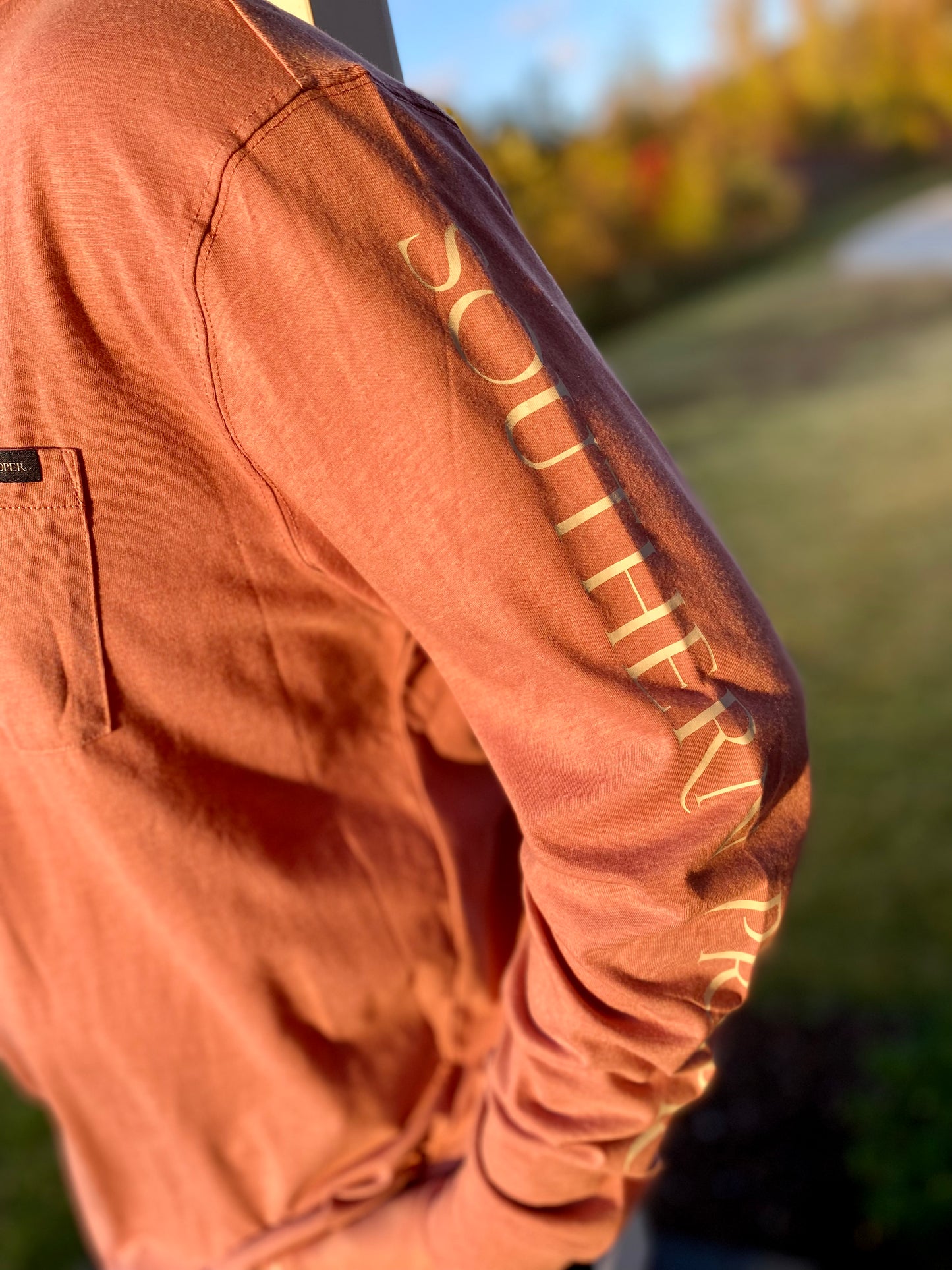 Southern Proper Hoodie Tee: Muscadine